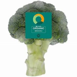 Broccoli Organic