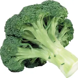 Broccoli