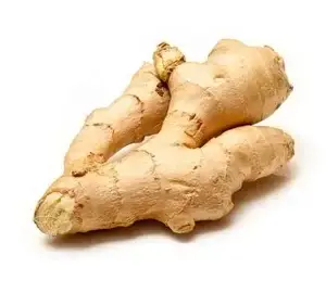 Ginger