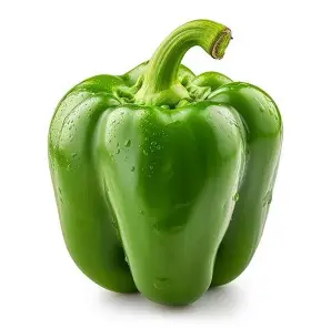 Pepper/Capsicum Green