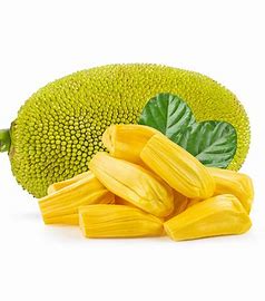 KATAL/Jackfruit