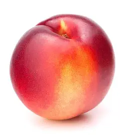 Nectarine