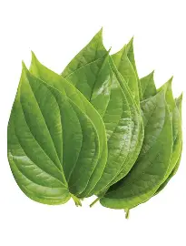 BANGLA PAAN