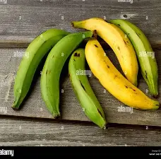 Plantain Green/ Yellow