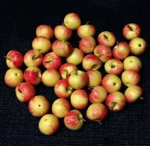Apple Small 7 for £1