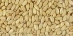THIMAR BOILED WHEAT 900G