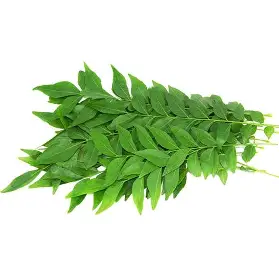 Curry Leaf