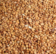 HONEY BEANS(OLOYIN) 500G