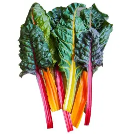 Chard Rainbow