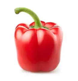 Pepper/Capsicum Red