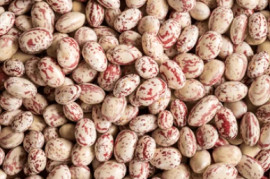 SANAM ROSECOCO BEANS 2KG