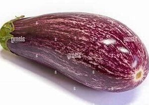 Aubergine Eggplant