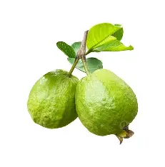Guava Green