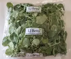 Land Cress Leaf