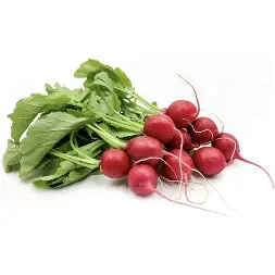 Radish Red