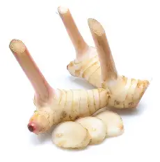 Thai Galangal Ginger