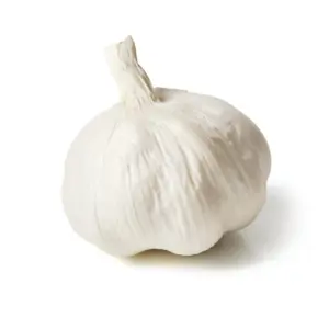 Garlic Large