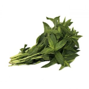 Molokhia (Nali Shak)